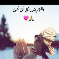 user50405004861540