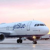 y0ur.average.american