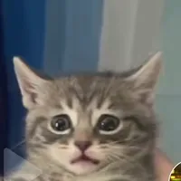 original sound - vscne_