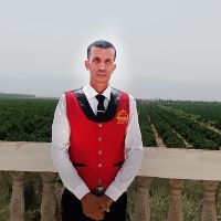 mol_elmalyar