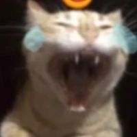 beno.jpeg