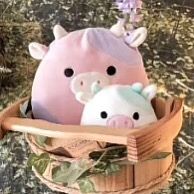 squishmallowloversonly