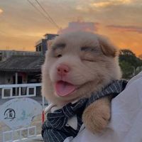 nhạc nền - Big Hero Baby