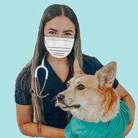 whitecoatsandcorgis