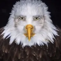 original sound - iiheartnunu_3