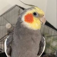 yumyumthetiel