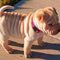 original sound - ferjimenez258