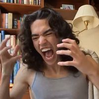 the bridge of memories by conan