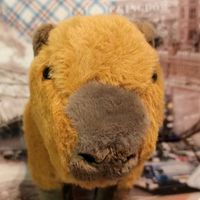 оригинальный звук