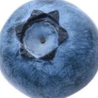 .bluethoughtsfr