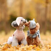 cutestanimals1412