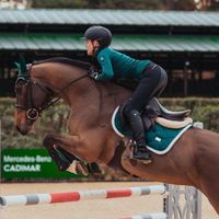 equestrians_4life1415