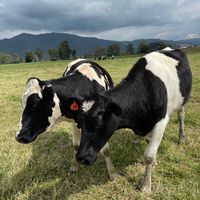 vacaxionesmorvelasquez