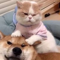 原聲