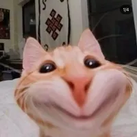 original sound - spxtifylyrixcs