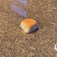 that_bread_account