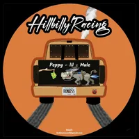 original sound - bobbycraun0