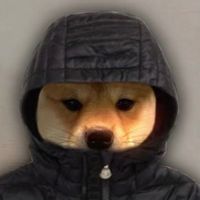 doggor3psv6