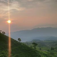 suara asli - SF | 151