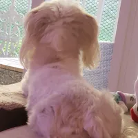 original sound - yulianacastro0128