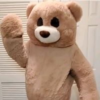 jaythedancingbear