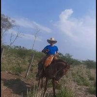 moiss.apontepedro