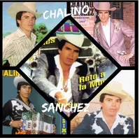 original sound - el1chalinosanchez