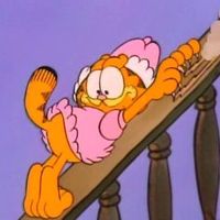 heyimgarfield