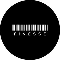 finesseusstudios