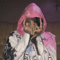 apex_oxz