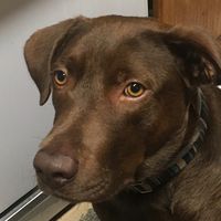 disney.jxtie_leahashe