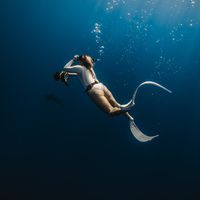 Sharkwater Rob Stewart