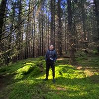 оригинальный звук