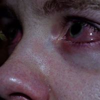 chmohnica666