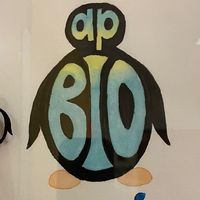 apbiopenguins