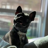 maddie_frenchton