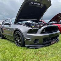 myeleanor13gt500