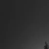 original sound - qtcwfd