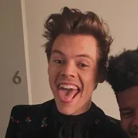 original sound - harryslations