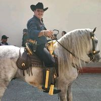 miloguerraelcentenario