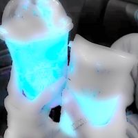 neonvcsz
