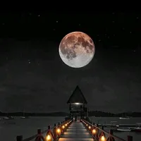 original sound - hleo977