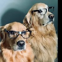 thepupscatos