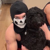 devdog459