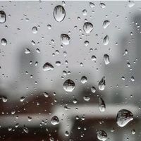 notenoughbutistillstay