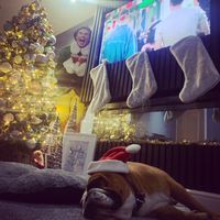 mrss_claus