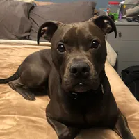 original sound - aw3som3_asher