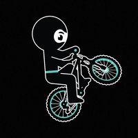 ninja_mtb_performance