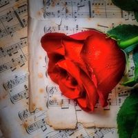 original sound