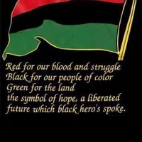 original sound - maineadams2